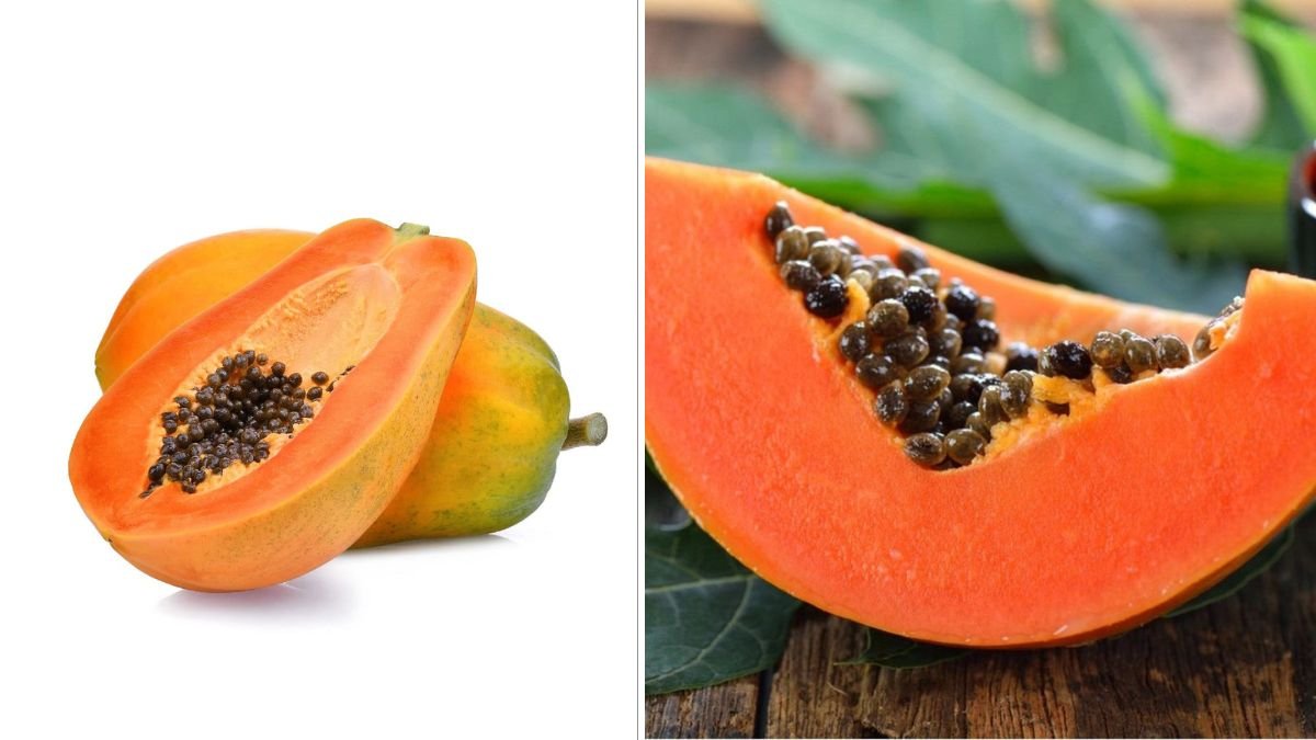 Miracle Papaya Growing Guide: How to Grow Papaya at Home for Fast, Delicious Harvests!