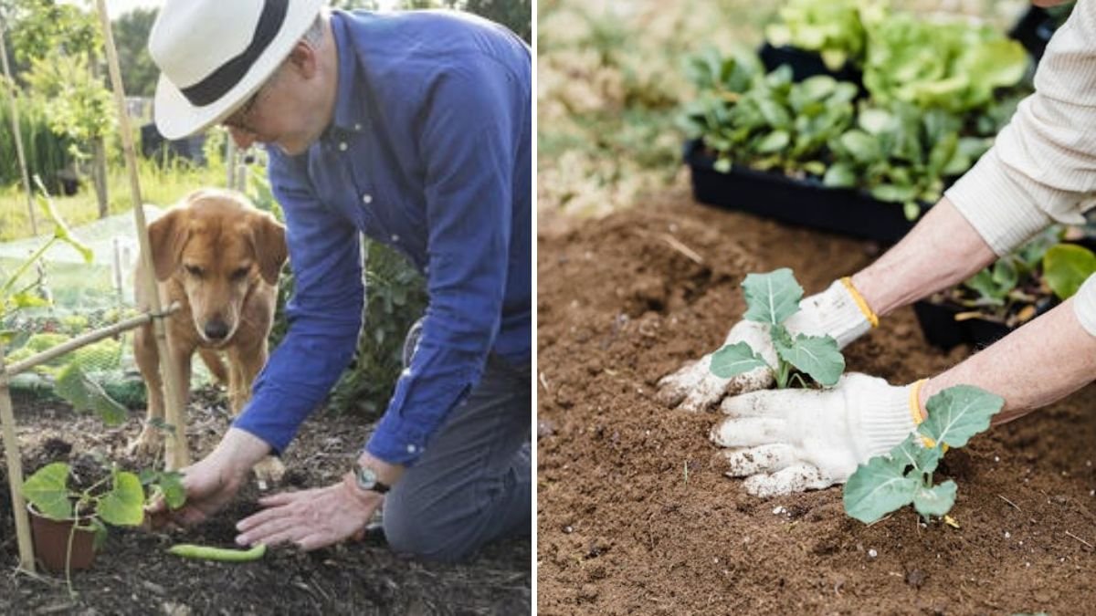 Wow! New Techniques to Transform Your Gardening: Discover Innovative Methods for Faster, Healthier Plant Growth