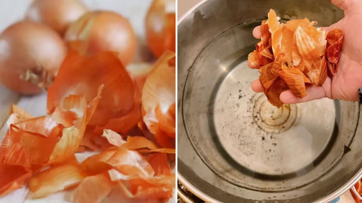 Don’t Throw Away Your Onion Skins: Creative Ways to Reuse and Benefit