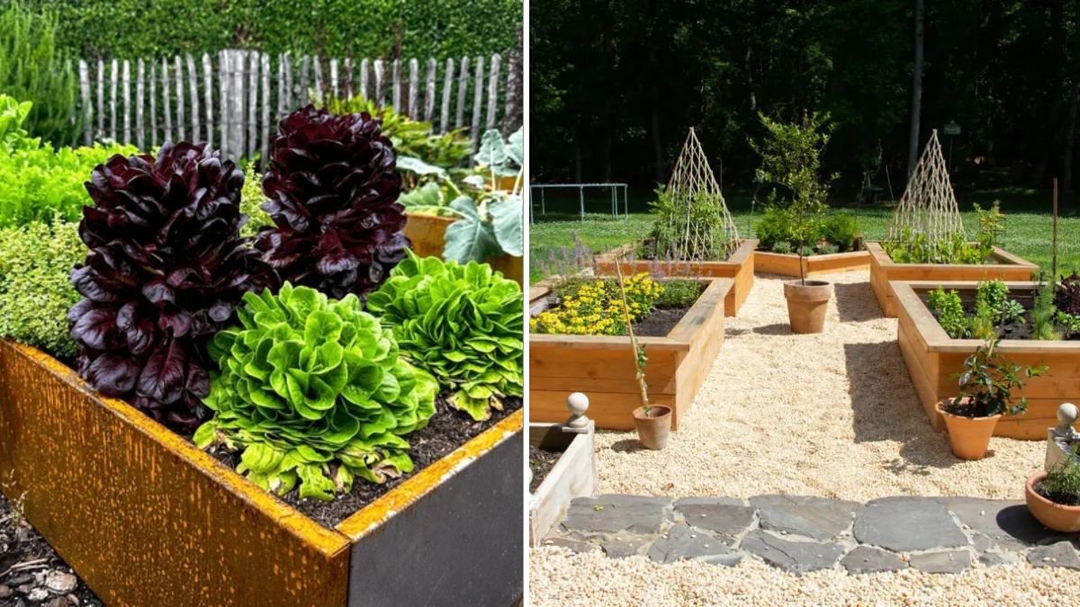 US & Europe Gardening Guide: Grow Healthy Vegetables Successfully in Every Climate Zone