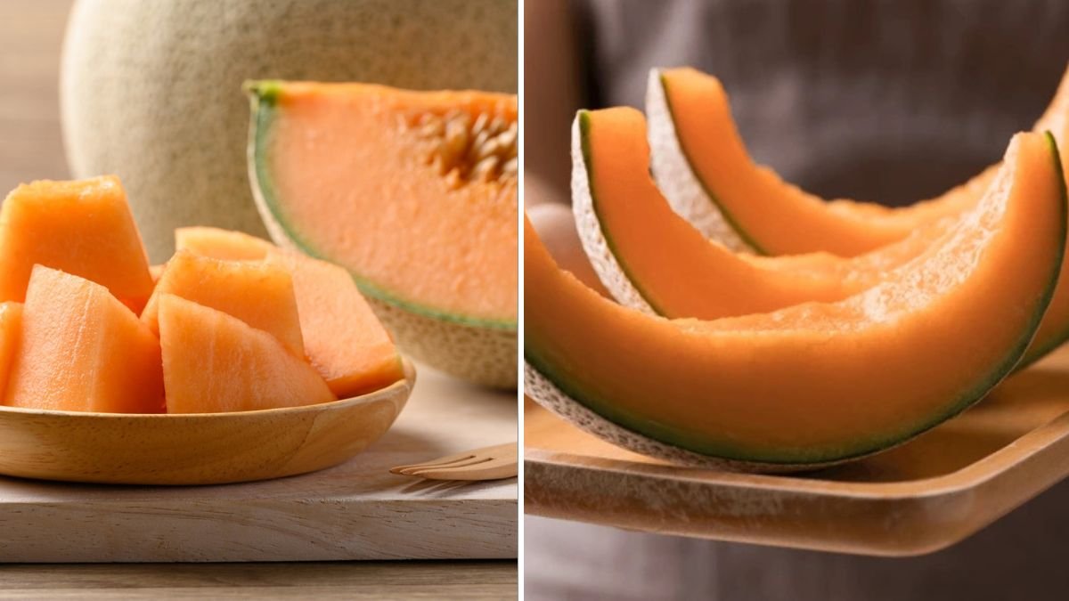 Unlocking Cantaloupe Secrets: Grow Juicy, Sweet Melons in Plastic Containers at Home