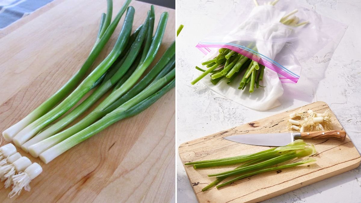 Amazing Ways to Regrow Spring Onions from Kitchen Scraps and Enjoy Fresh Flavors at Home
