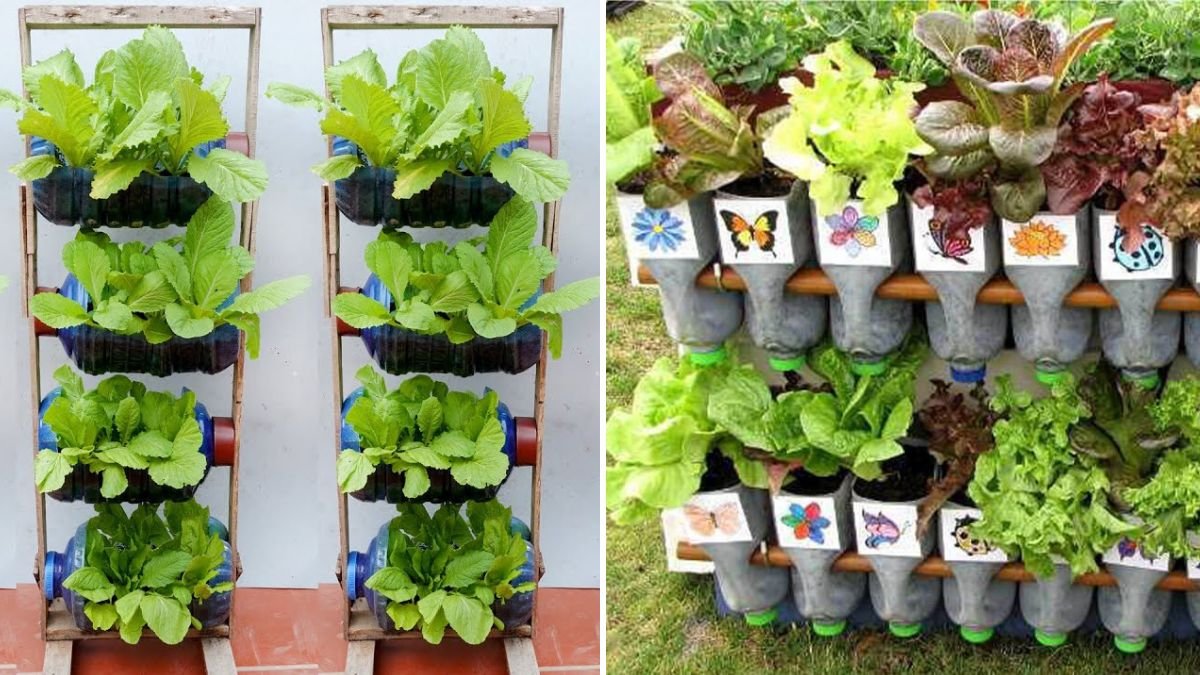 Growing in Bottles: Smart Container Gardening for Small Spaces and Big Harvests