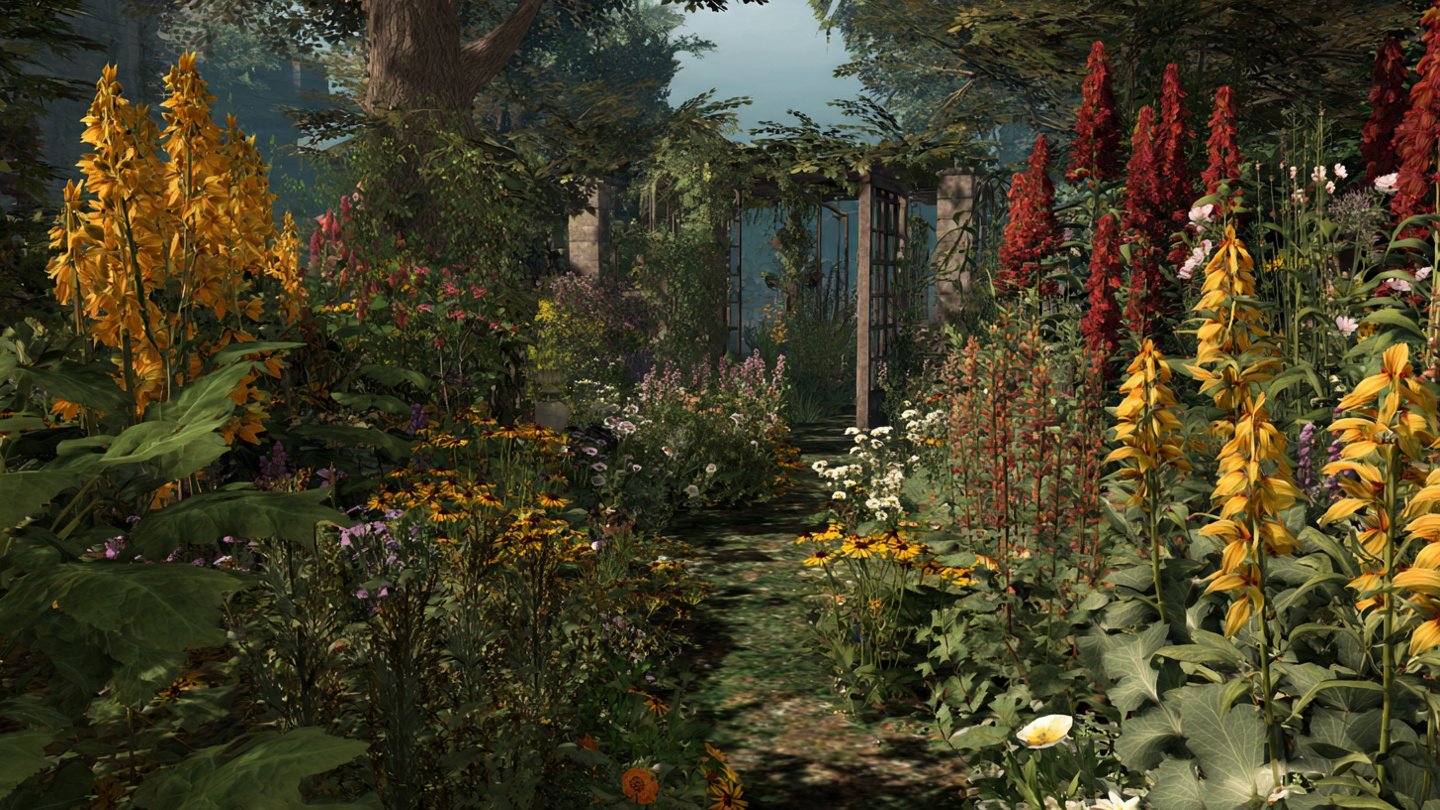 Why You Should Plant Native Flowers in Your Garden