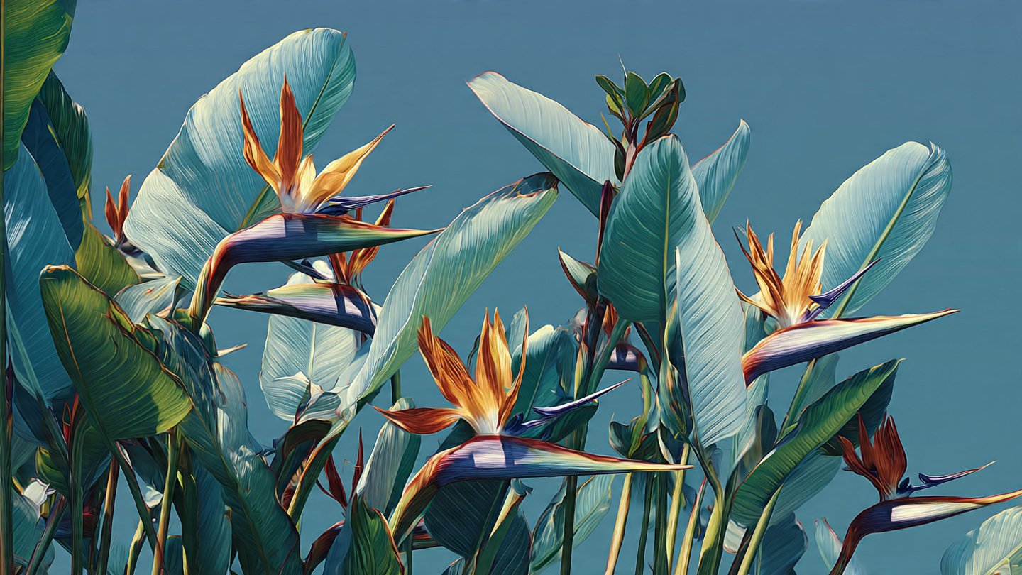Why Bird of Paradise Plants Thrive in Bright Light