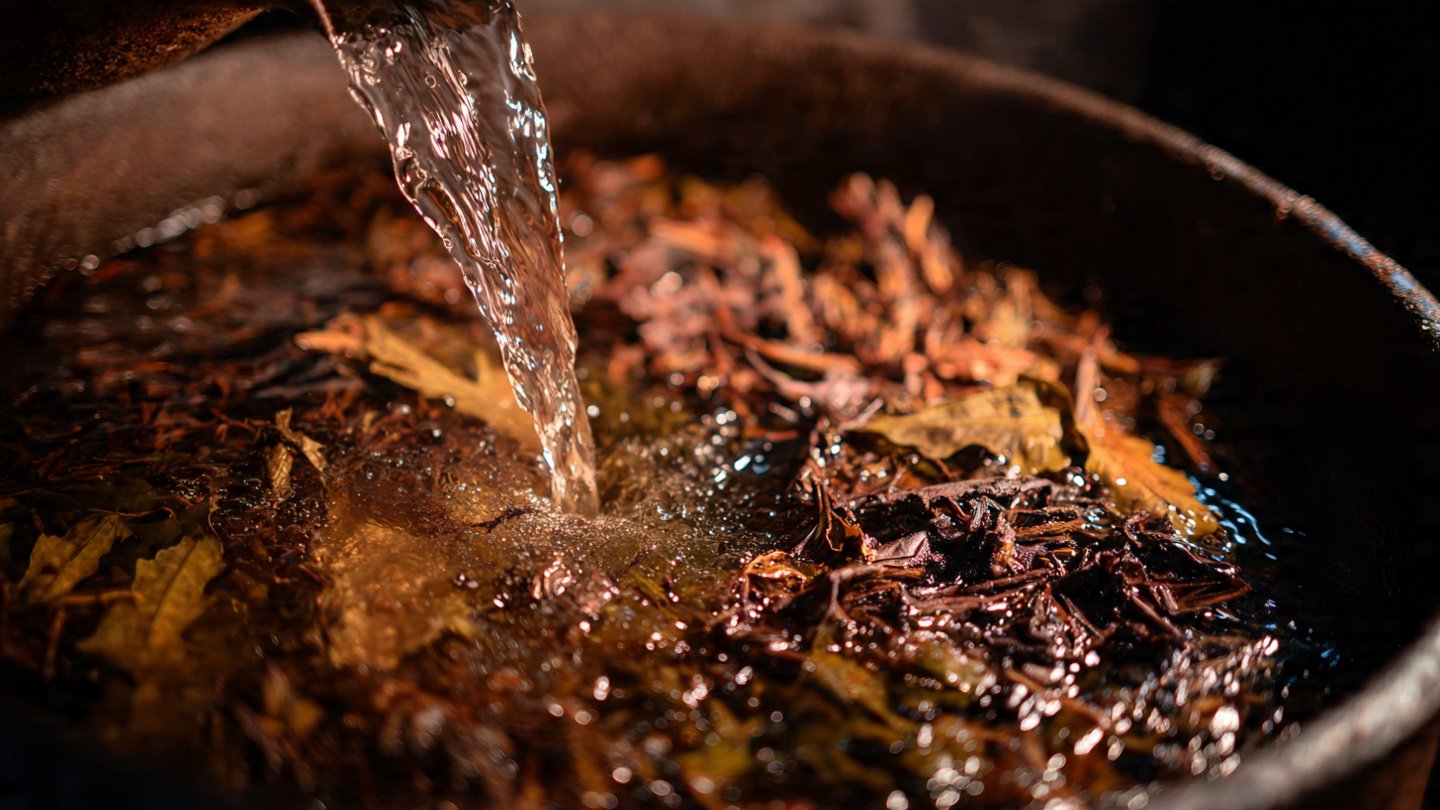 How Can Compost Tea Make Your Leaves Shine Naturally?