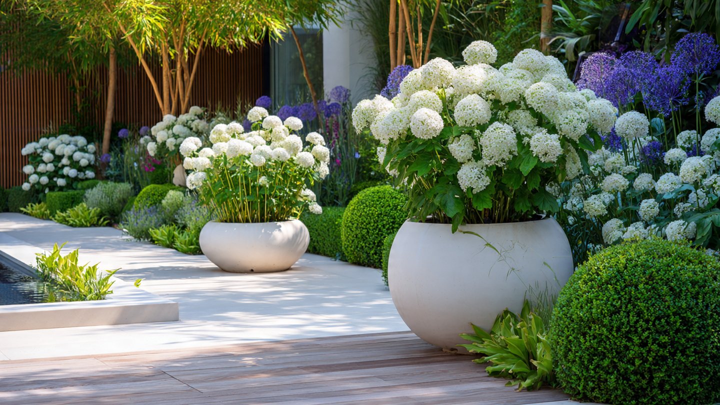 Which Flowers Create the Ultimate Modern Minimalist Garden?