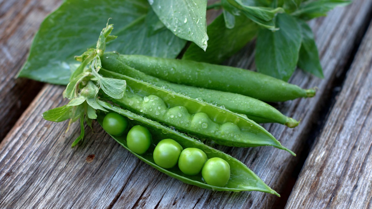 How Can You Easily Grow Your Own Peas for Fresh Homegrown Salads?
